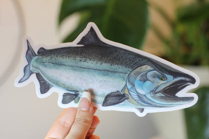 Chinook Salmon Sticker - Heavy Duty Weather- Proof