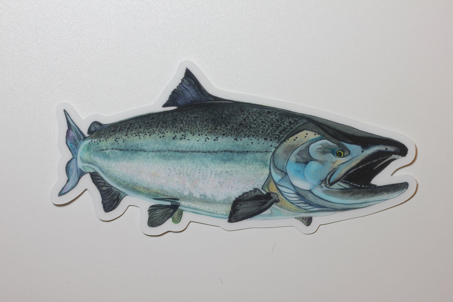 Chinook Salmon Sticker - Heavy Duty Weather- Proof